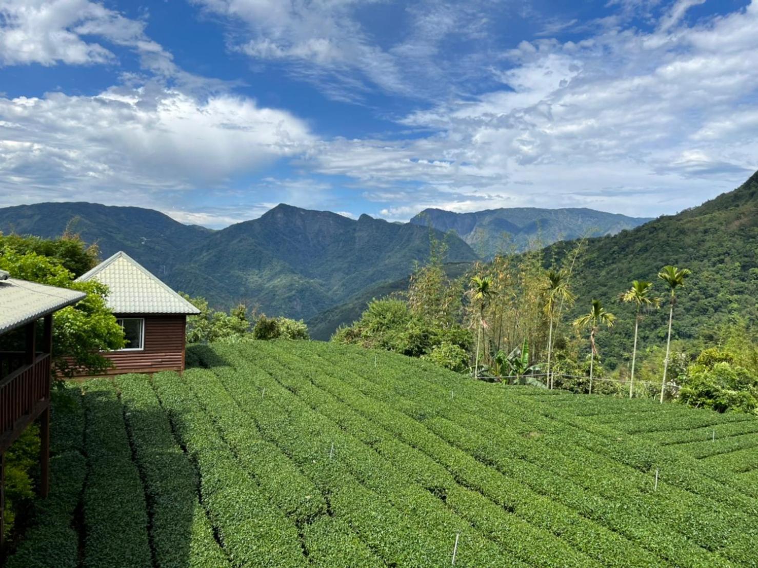 Ye Jiang Hua Homestay Meishan Exterior foto